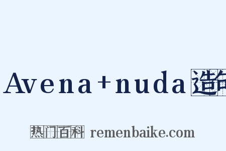 Avena+nuda造句是什么意思的图片